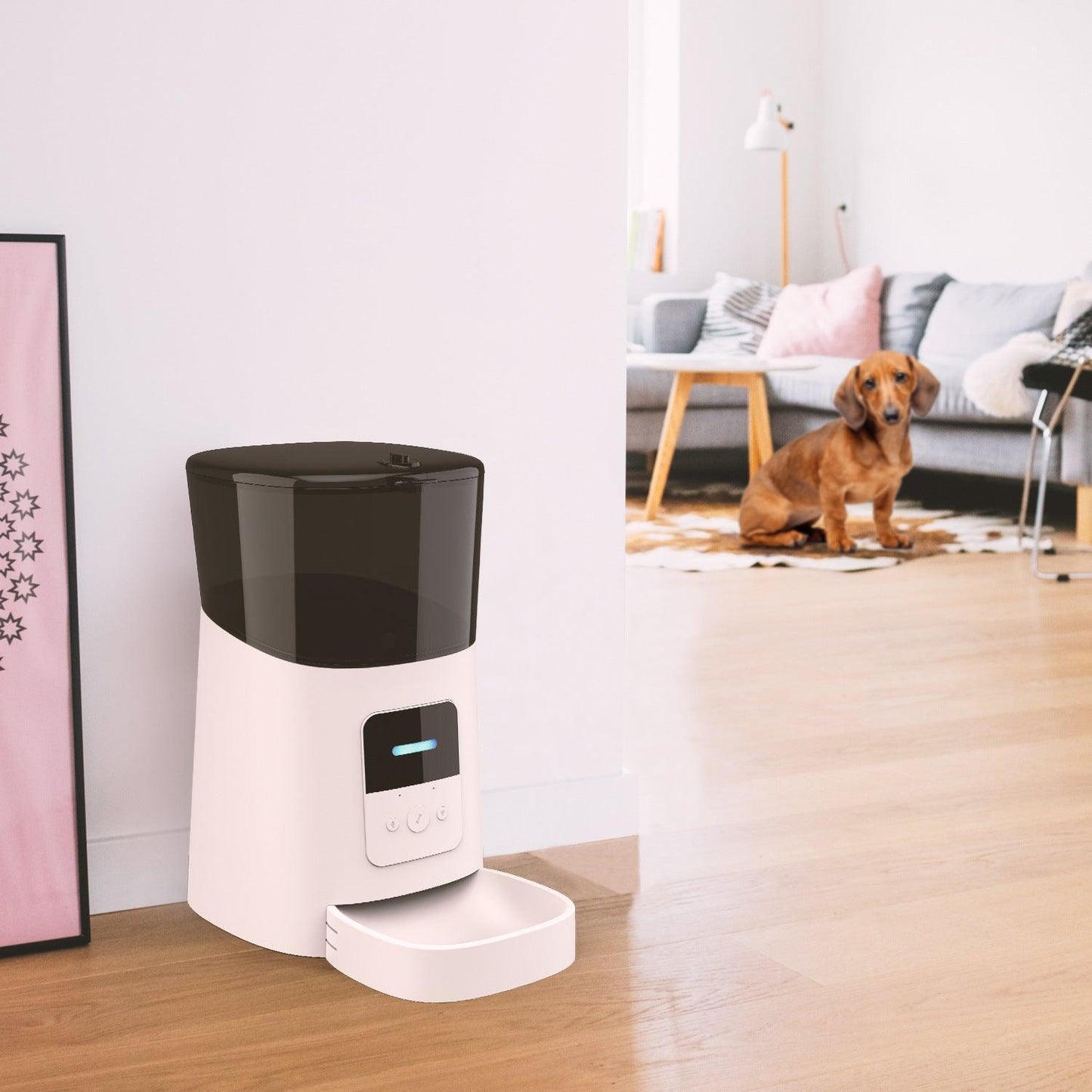 Convenientclean Pet Feeder-2