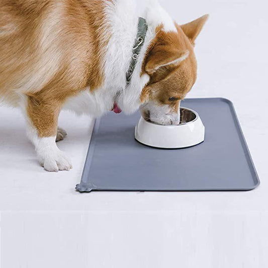 Stylish Stainless Steel Pet Feeder-0