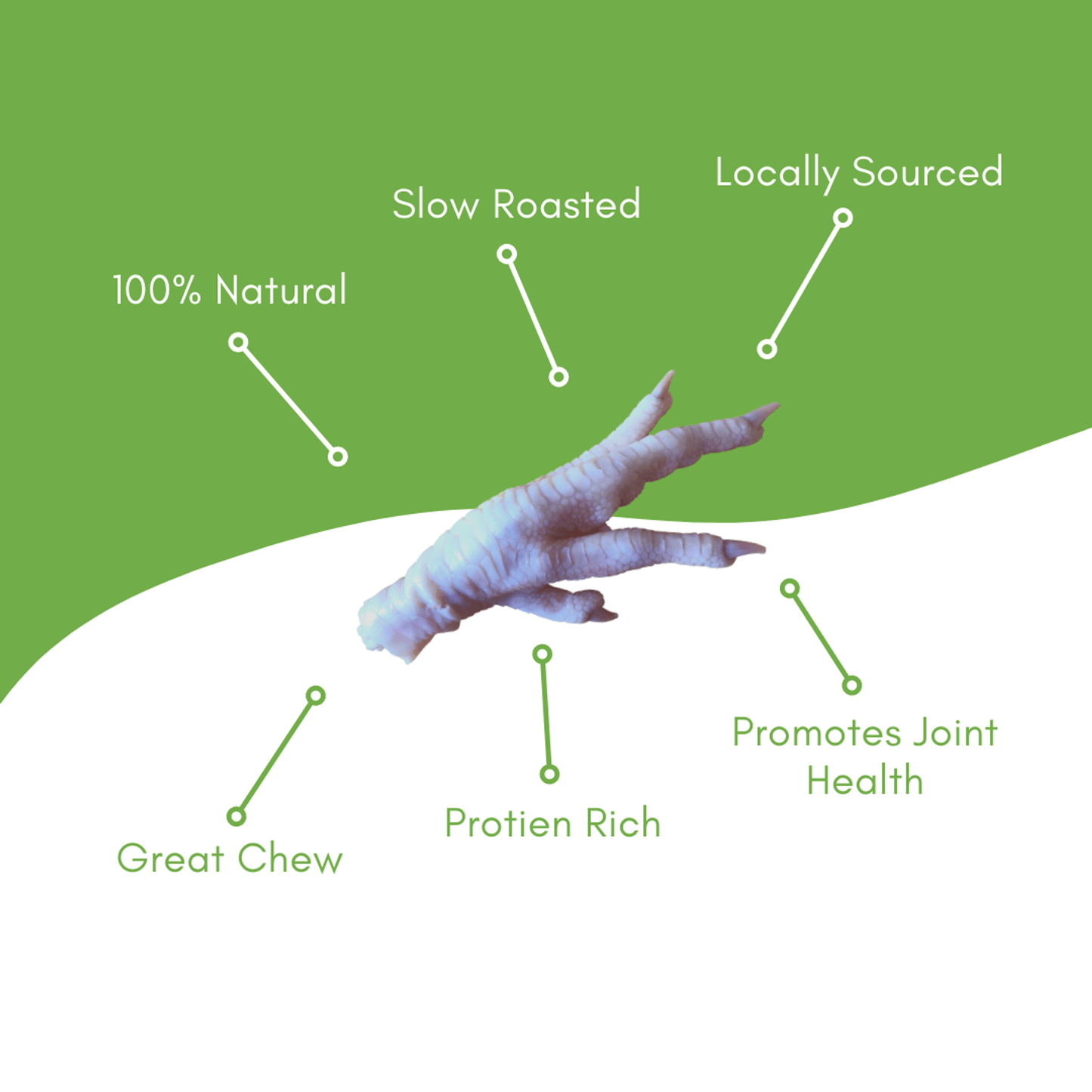 Premium Roasted Duck Feet Pet Treats - 1 LB-4